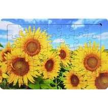 퍼즐갤러리 목재 직소퍼즐 M, 35피스, 해바라기 들판