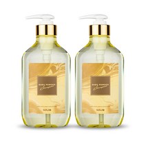 563랩 퍼퓸 샴푸 베이비파우더, 500ml, 2개