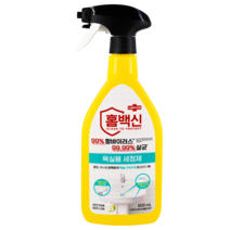랩신 홈백신 욕실용 세정제, 600ml, 1개