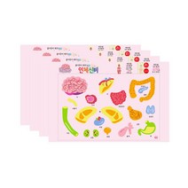 쁘띠팬시 인체신비 교육용 스티커 DA5546, 혼합색상, 4개