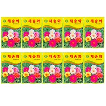 중앙꽃씨 채송화, 10개