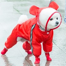 볼독 강아지 비옷, 불곰