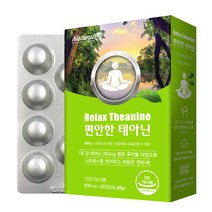 네추럴라이즈 편안한 테아닌 24.48g, 1개, 30정, 30정