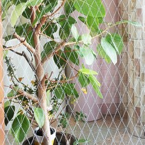 원에스 창문시트지 망입 2 화이트 FPT-3016