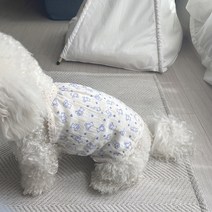 그루밍독 반려동물 베이비 곰 파자마 나시, 소라