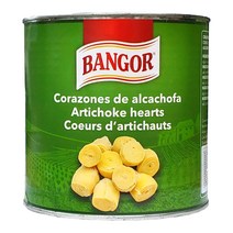 뱅고어 아티초크 하트 통조림, 2500g, 1개