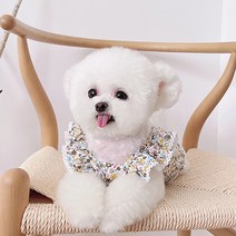 쁘띠도그 글로우원피스 DSO062, 원컬러