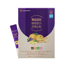 대웅생명과학 흑도라지배생강 진액스틱 100p, 100포, 1박스