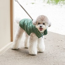 베니즈 반려동물 에브리데이 패딩, 그린