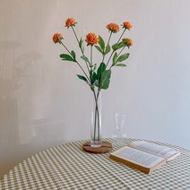 컬러 민들레, 오렌지