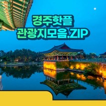 [경주] 경북e누리 경주 핫플 관광지 패키지