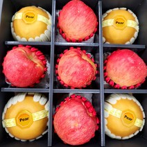 사과배 선물세트 명절 추석 과일혼합 선물세트, 홍로사과5 + 신고배4 / 4.4kg