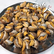 대천해 서해안 골뱅이 1kg, 500g, 2개