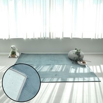 아파트 거실매트 보드라운 극세사 러그 대 170X230 사계절카페트 분위기