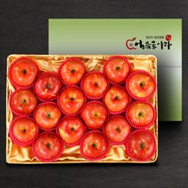 가공식품(브랜드없음) [22년 햇사과][산내들]명품 밀양얼음골 기스사과 5kg(17내), 단품없음
