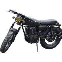 전동스쿠터 전기 오토바이 바이크 소형 이륜차 출퇴근스쿠터, 리튬 배터리 72V50A 탈착식