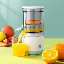 ANKRIC 오렌지 레몬 착즙기 자동 과일 원액기, 화이트+그린