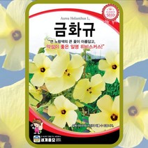금화규 씨앗 10립 채부용 꽃씨 꽃씨몰 중국 히비스커스 황금해바라기 야생부용, 단품