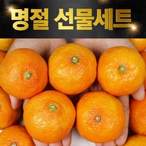 제주하귤 3kg 2kg추석귤 추석선물세트고당도귤, 제주 하우스귤 선물용 3kg