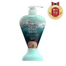 LG생활건강 히말라야핑크솔트 펌핑치약 아이스민트 285g, 1개