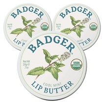 뱃저 립 버터 20g, 3개, Cool Mint