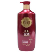 리엔 샴푸 950ml 중건성 머리 헤어 청결 관리, 1, 본상품선택