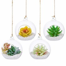 NUPTIO 벽걸이 유리 테라리움 식물 4개 직경 10.2cm4인치 글로브 화분 식물용 다육 USA 미국, 4 Pcs