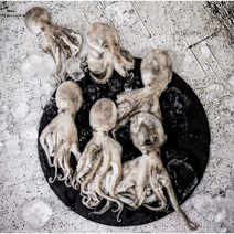 주꾸미 국내산 손질 햇 주꾸미 250g 3팩, 단일옵션