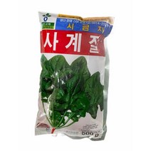 [23년생산]사계절시금치500g/포항초/포항시금치/남해시금치/시금치씨앗, 1개