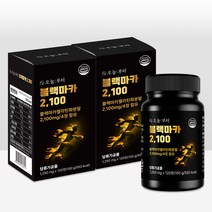오늘부터 블랙마카2100 흑마늘 야관문 흑삼, 2개, 120정
