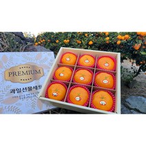 제주 산지직송 고당도 레드향 선물세트3kg(9과)