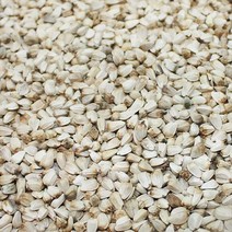 홍화씨 1kg 홍아씨 홍화씨앗 홍화차 홍화씨차 국내산, 1개
