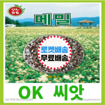 [OK씨앗] [메밀] 메밀씨앗 종자(오케이씨앗), 30g