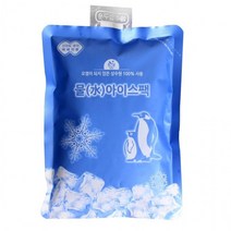 물아이스팩 17x23 아이스팩 얼음팩 아이스박스 냉매팩 골프 아이스팩 찜질팩 쿨패치 냉온찜질팩 냉찜질 아, 상세페이지 참조