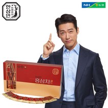 [농협홍삼]한삼인홍삼차골드_3gX100포_1세트