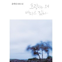 호랑이는 왜 바다로 갔나, 문학동네, 윤대녕
