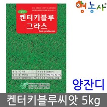 켄터키 블루그라스 5kg 양잔디씨앗 대용량, 켄터키블루그라스5kg