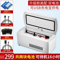 인슐린냉장고 미니 휴대용 가정용 차량 usb 충전식 소형 휴대용 인슐린 자동차 냉장고 상자 RVN466, 화이트(이중 배터리 수명 16시간)