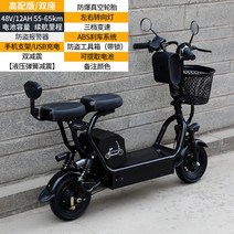 세발 노인 어르신 삼륜 3륜 스쿠터 전기 오토ㅊ바이 바이크 전동, 48V, 2인승 고사양 12AH / 55-65km
