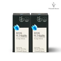 비타민하우스 파이토 마그네슘B6 2병, 상세설명 참조, 없음