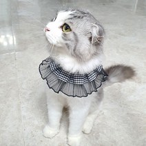 체크프릴 스카프 케이프 애완 반려동물, 레이스블랙, S