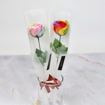 로사리움(rosarium) 한송이 장미 카네이션 비누 꽃다발 - 비누 꽃다발 졸업식 어버이날 킨더조이 로즈데이 성년의날 여자친구 남자친구 재롱잔치 학예회 축하 선물, 2. 투톤 한송이 꽃다발 (파스텔 무지개)
