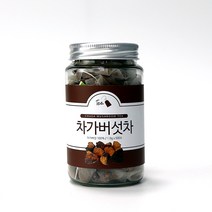 전통차 침출차 차가버섯차 차가버섯차티백, 100포, 1g