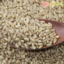 통밀 2023년산 햇곡 5kg 국산밀 우리밀