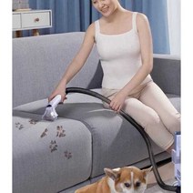 패브릭청소기 카펫 청소기 반려동물 진공 클리너 화이트, 화이트 RNS-300