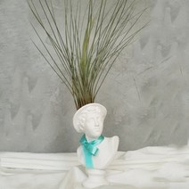 아트박스/모리아트 대만여인 석고상화분 틸란드시아 준세아+모스+리본, 아리아스