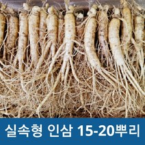 금산 국내산 인삼 실속형 5년근실속형 350g 750g (옵션선택), 750g16-20뿌리