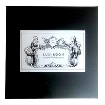 [러쉬룸/폴엔나나/헤리티지] 선물하기좋은 고급 자카드 남자남성면손수건 선물박스세트 3개입 1개입 5개구매시 추가1개증정 등산용 땀손수건 추천