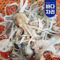 산지직송 서해 봄쭈꾸미 활쭈꾸미 1kg 냉동 국산주꾸미 500g 1+1, 급랭 주꾸미 500g