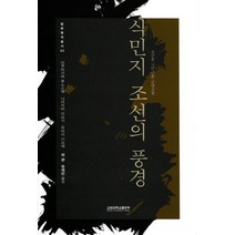 식민지 조선의 풍경:조선을 그린 일본 근대소설, 고려대학교출판부